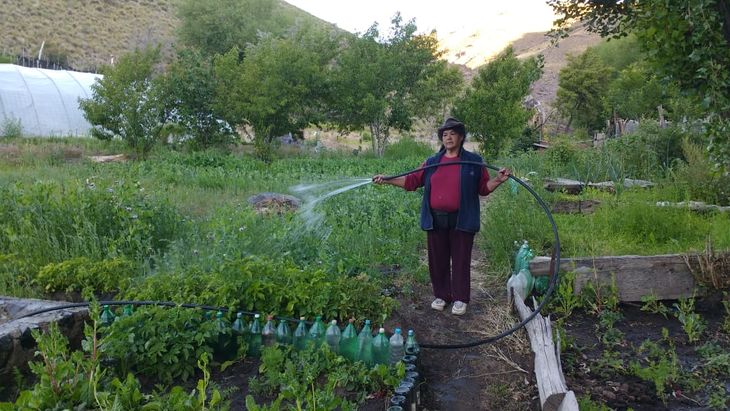 La huerta de Doña Nora 