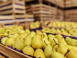 Sobre el final de la temporada en el hemisferio norte, se observa una suba de stocks en Europa. Sobre el final de la temporada en el hemisferio norte, se observa una suba de stocks en Europa.