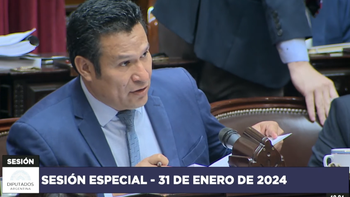 Llancafilo camara diputados congreso