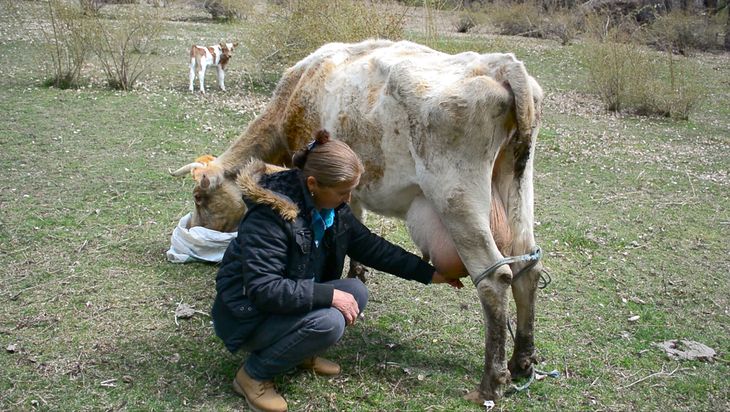 Se busca mejorar la producción y la productividad de la actividad quesera. Foto: gentileza subsecretaria de Producción. Se busca mejorar la producción y la productividad de la actividad quesera. Foto: gentileza subsecretaria de Producción.