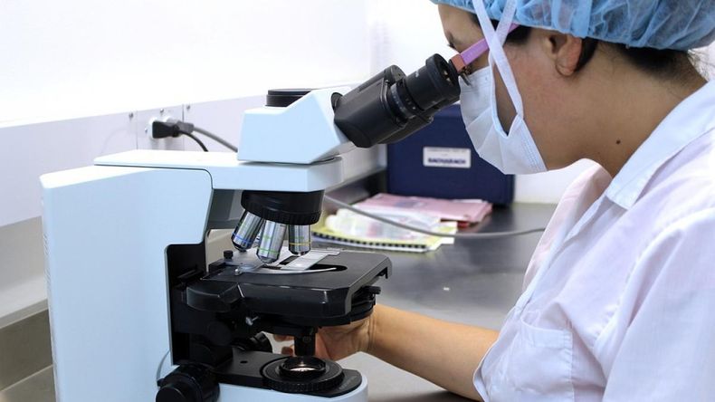 Diagnostican 9 mil casos de enfermedades oncohematológicas por año