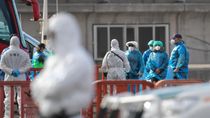 El brote de hantavirus detectado en el crucero MV Hondius ya provocó contagios, cuarentenas y aislamientos en distintos países. El brote de hantavirus detectado en el crucero MV Hondius ya provocó contagios, cuarentenas y aislamientos en distintos países.