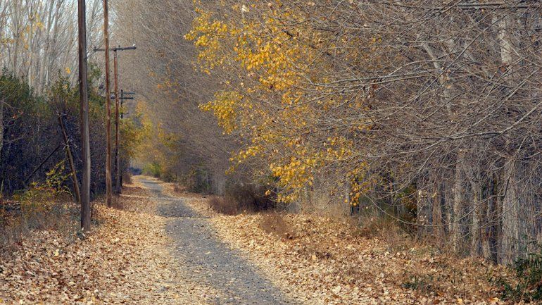 Se viene una semana con puro sol de otoño