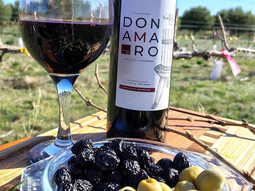 Uno de los establecimientos pioneros en la producción de olivos en la región, que sumó a sus filas un Malbec artesanal y orgánico. Foto: gentileza Uno de los establecimientos pioneros en la producción de olivos en la región, que sumó a sus filas un Malbec artesanal y orgánico. Foto: gentileza