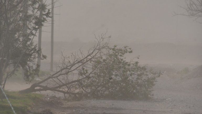 El último temporal de viento generó muchas complicaciones.