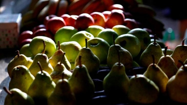Los productores de manzanas y peras reclaman incentivos para la exportación. Los productores de manzanas y peras reclaman incentivos para la exportación.