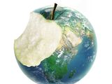 Desarrollan manzanas resistentes al cambio climático