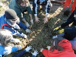 del agua a la tierra: el mes que convierte basura en vida del agua a la tierra: el mes que convierte basura en vida