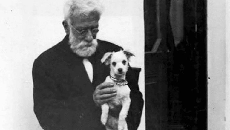 El Día del Animal se celebra en honor al doctor Albarracín El Día del Animal se celebra en honor al doctor Albarracín