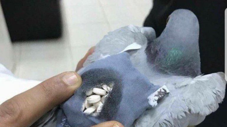 La policía local la retuvo cerca del departamento de aduanas.