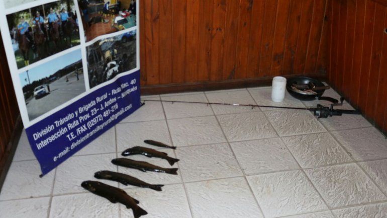 Secuestraron truchas y elementos de pesca en dos operativos