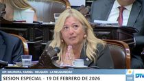 La diputada Karina Maureira pidió que no se derogue el estatuto del periodista. La diputada Karina Maureira pidió que no se derogue el estatuto del periodista.