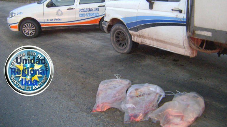 Decomisaron tres costillares en Casa de Piedra que estaban ocultos en una camioneta.