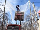 Las inversiones, clave para contrarrestar el cambio climático.