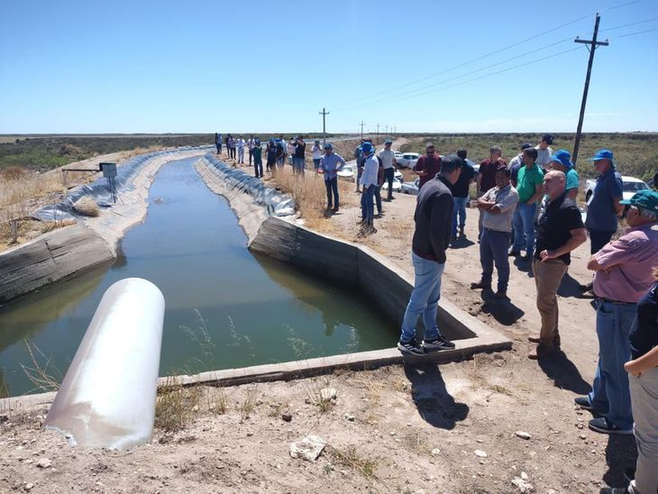 Llegaron más de 60 productores de cebolla de Minas Gerais, Goias y San Pablo (Brasil). Foto: gobierno de Río Negro. Llegaron más de 60 productores de cebolla de Minas Gerais, Goias y San Pablo (Brasil). Foto: gobierno de Río Negro.