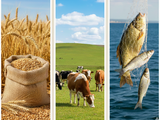 El sector agropecuario, la pesca y la silvicultura constituyen pilares fundamentales para el esquema productivo nacional