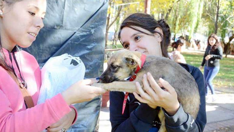 Una caminata con perros para ayudar a un refugio canino