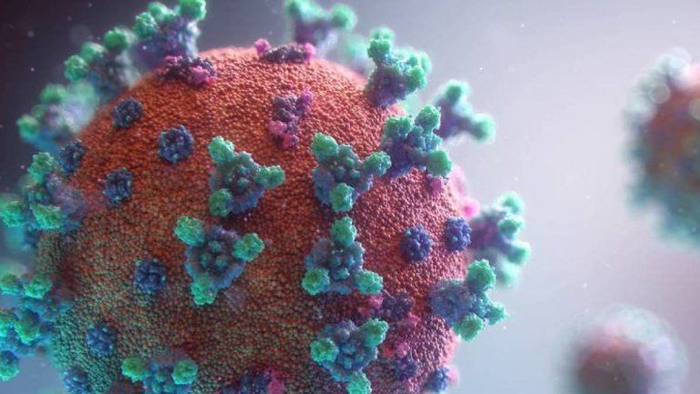 ¿Qué es una sindemia?