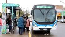 paro total de colectivos en neuquen: que dijo la municipalidad sobre la medida