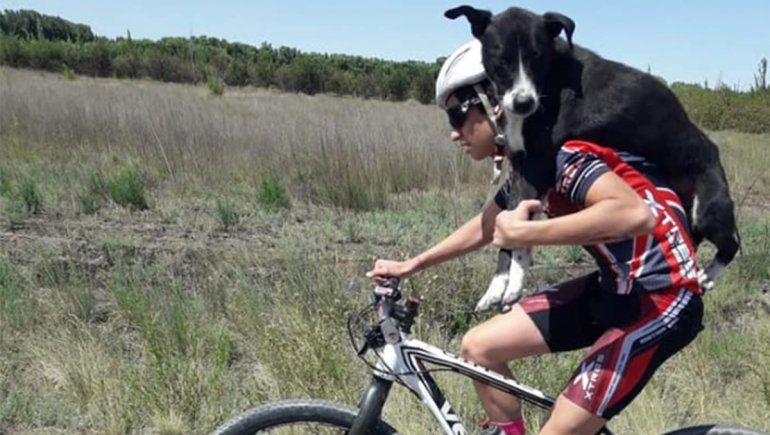 Ciclistas rescataron a un perro deshidratado