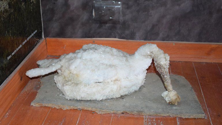 Un pato de cristal, otra curiosidad de la salina del Gualicho