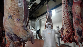 El atraso cambiario comienza a impactar sobre las exportaciones de carne argentina.