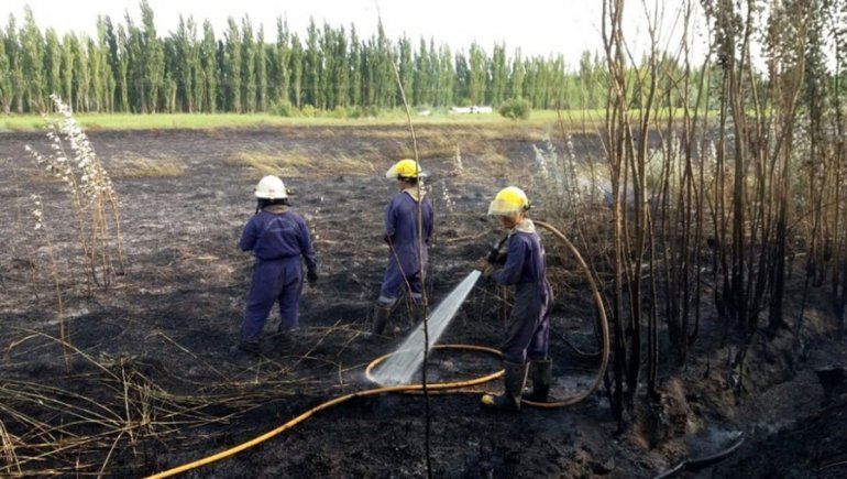 Una familia debió ser evacuada tras un impresionante incendio en Vista Alegre