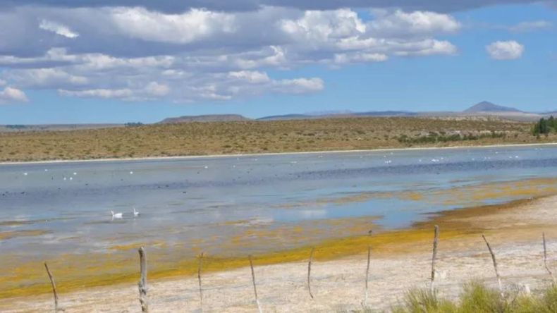 El proyecto busca poner fin a una problemática historia que atraviesa la región. | LM Neuquen El proyecto busca poner fin a una problemática historia que atraviesa la región.