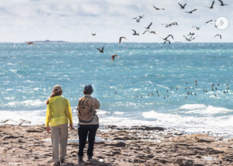 Las cabalgatas dan lugar al avistaje de aves marinas y especies que difíccilmente se encuentren en otros lugares de la Argentina. Las cabalgatas dan lugar al avistaje de aves marinas y especies que difíccilmente se encuentren en otros lugares de la Argentina.