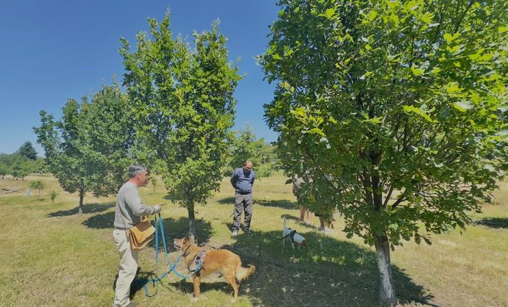 La amistad, la paciencia y el aprendizaje fueron claves para convertir un proyecto improbable en una experiencia productiva y turística. La amistad, la paciencia y el aprendizaje fueron claves para convertir un proyecto improbable en una experiencia productiva y turística.