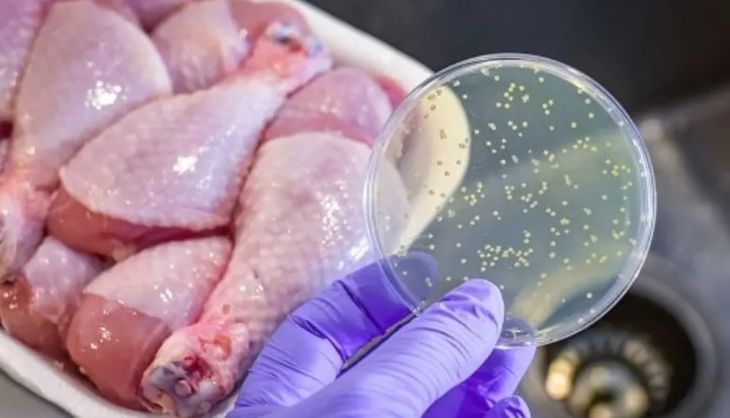 Estudiar la resistencia es (nada menos) una cuestión de vida o muerte. Estudiar la resistencia es (nada menos) una cuestión de vida o muerte.