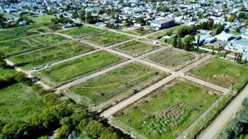 terrenos gratis para familias vulnerables: como anotarse terrenos gratis para familias vulnerables: como anotarse