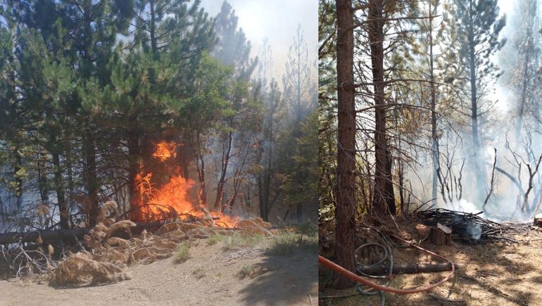 Un nuevo incendio forestal alertó a Villa Pehuenia-Moquehue