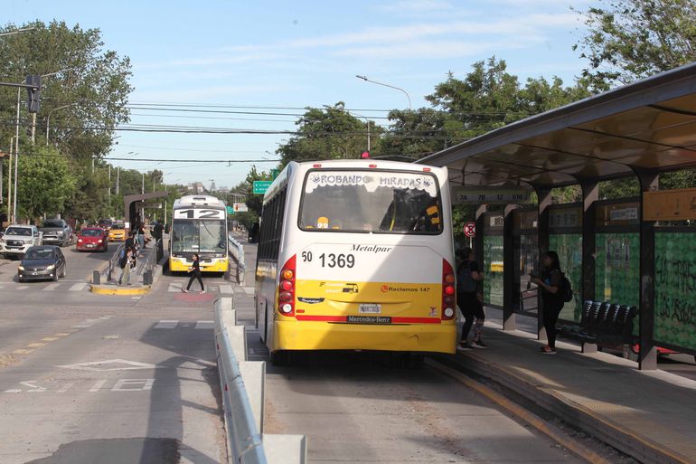 Transporte público: avanza el proceso licitatorio y el nuevo sistema arrancaría en enero