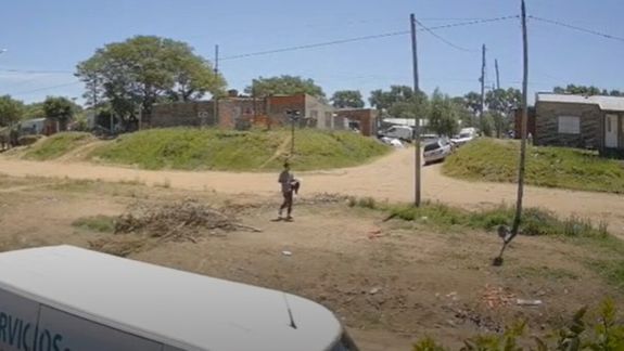 Uno de los perros cayó al suelo y comenzó a convulsionar tras el ataque.&nbsp;