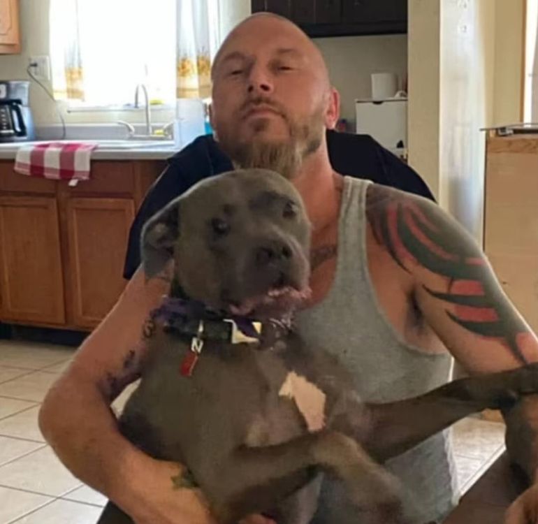 Porter había adoptado a Karma hacía solo ocho meses, animado por su familia, tras finalizar una relación amorosa. Porter había adoptado a Karma hacía solo ocho meses, animado por su familia, tras finalizar una relación amorosa.