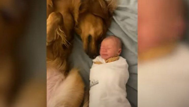 Este par no deja de sumar reproducciones en YouTube