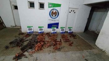 La Policía comenzó a allanar puntos de venta y se recuperaron toneladas de cables robados. La Policía comenzó a allanar puntos de venta y se recuperaron toneladas de cables robados.