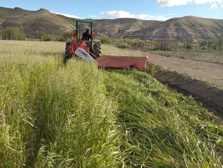 La apuesta comenzó a dar sus frutos. Foto: gentileza Miguel de Larminat. La apuesta comenzó a dar sus frutos. Foto: gentileza Miguel de Larminat.