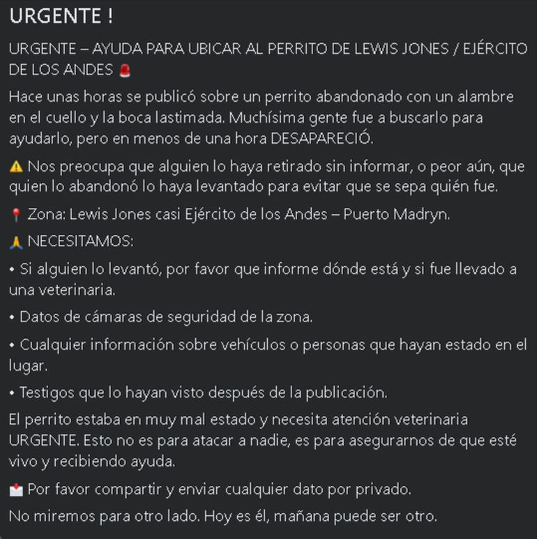 El mensaje que convocaba a ayudar en la búsqueda del perro de Puerto Madryn que finalmente fue hallado sin vida en una caja llena de aceite. El mensaje que convocaba a ayudar en la búsqueda del perro de Puerto Madryn que finalmente fue hallado sin vida en una caja llena de aceite. 