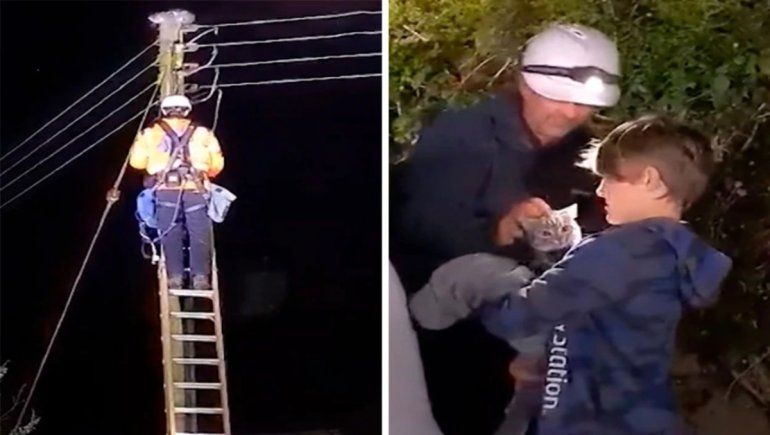 Rescate de gatito atrapado en un poste es viral en YouTube.