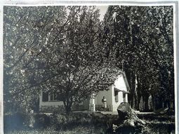 legado de una abuela pionera: como una mujer redefine el futuro de la produccion de patagonia legado de una abuela pionera: como una mujer redefine el futuro de la produccion de patagonia