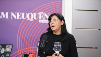 Fue una situación bastante turbia: qué dijo Claudia Namuncurá sobre el intento de aumento para Gloria Ruiz Fue una situación bastante turbia: qué dijo Claudia Namuncurá sobre el intento de aumento para Gloria Ruiz