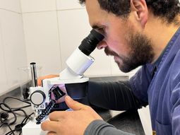 El objetivo es optimizar los servicios que el matadero brinda a la comunidad. El objetivo es optimizar los servicios que el matadero brinda a la comunidad.