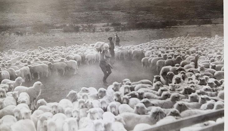 1933: el día que los ganaderos patagónicos decidieron unir fuerzas. 1933: el día que los ganaderos patagónicos decidieron unir fuerzas.