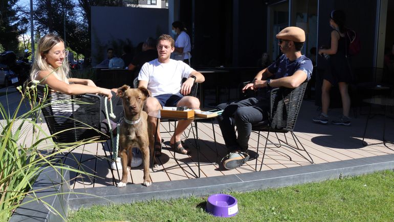 En Neuquén ya hay cafés que permiten entrar con animales