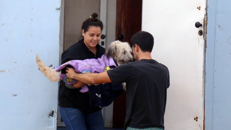 A través de castraciones se pretende controlar a la población canina.