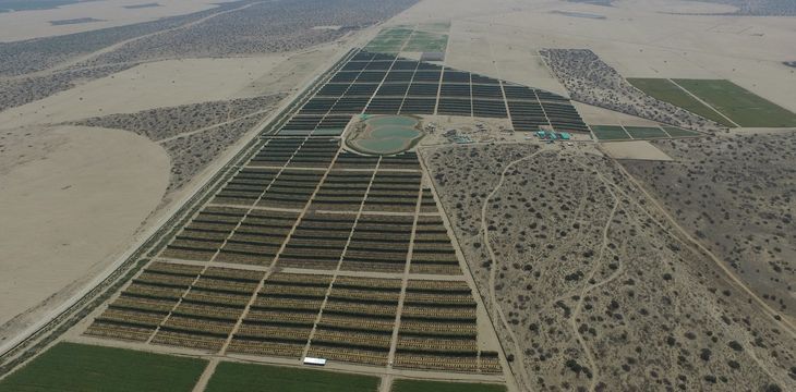 Perú, con nuevas inversiones, abre el desierto para la producción. Perú, con nuevas inversiones, abre el desierto para la producción.