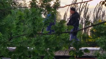 El motín se inició pasadas las 18:30 y generó un gran despliegue de las fuerzas de seguridad. El motín se inició pasadas las 18:30 y generó un gran despliegue de las fuerzas de seguridad.