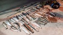 otro golpe a la pesca ilegal: decomisaron 67 truchas en piedra del aguila luego de una denuncia otro golpe a la pesca ilegal: decomisaron 67 truchas en piedra del aguila luego de una denuncia